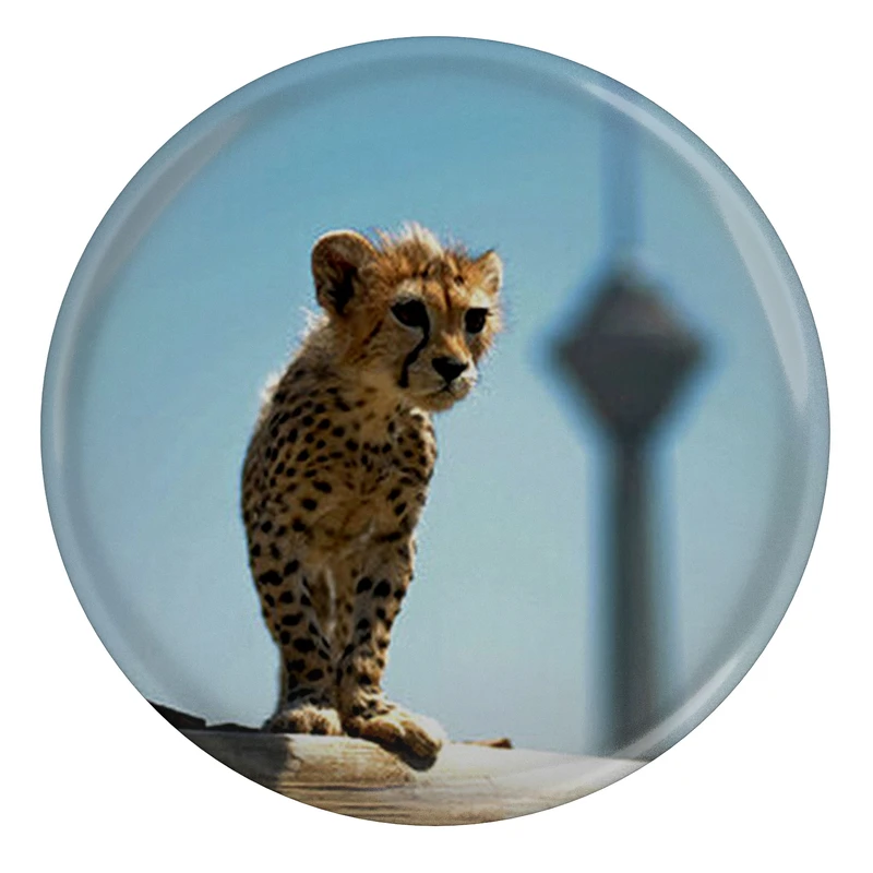 پیکسل مدل S12706 طرح پیروز یوزپلنگ ایران