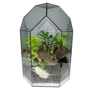 تراریوم ترارتوس مدل 05