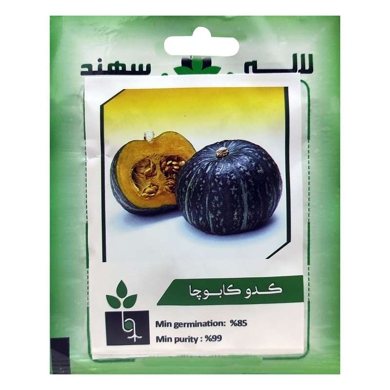 بذر کدو کابوچا لاله سهند کد LSP-027
