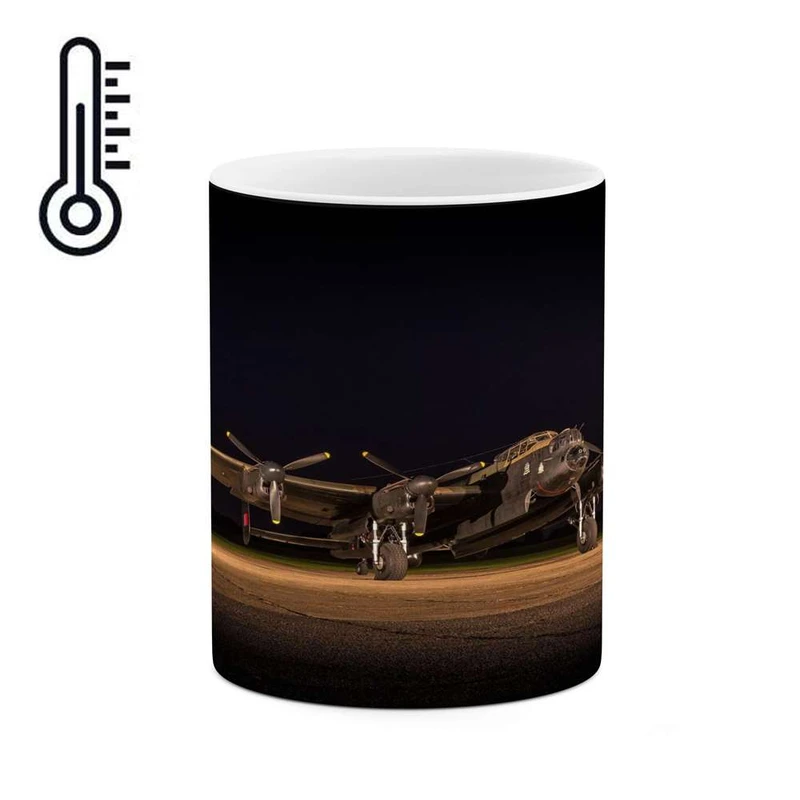 ماگ حرارتی کاکتی مدل هواپیما کد mgh17330