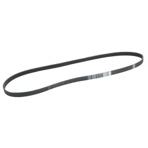 Hutchinson PK1564 Dynamo Belt