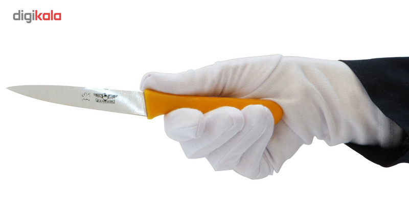 ست چاقوی آشپزخانه 2 پارچه زنجان مدل بهرامی