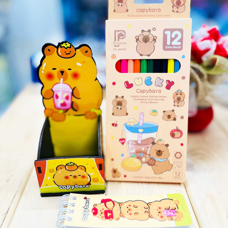 بسته لوازم تحریر مدل کاپی بارا مجموعه 3 عددی