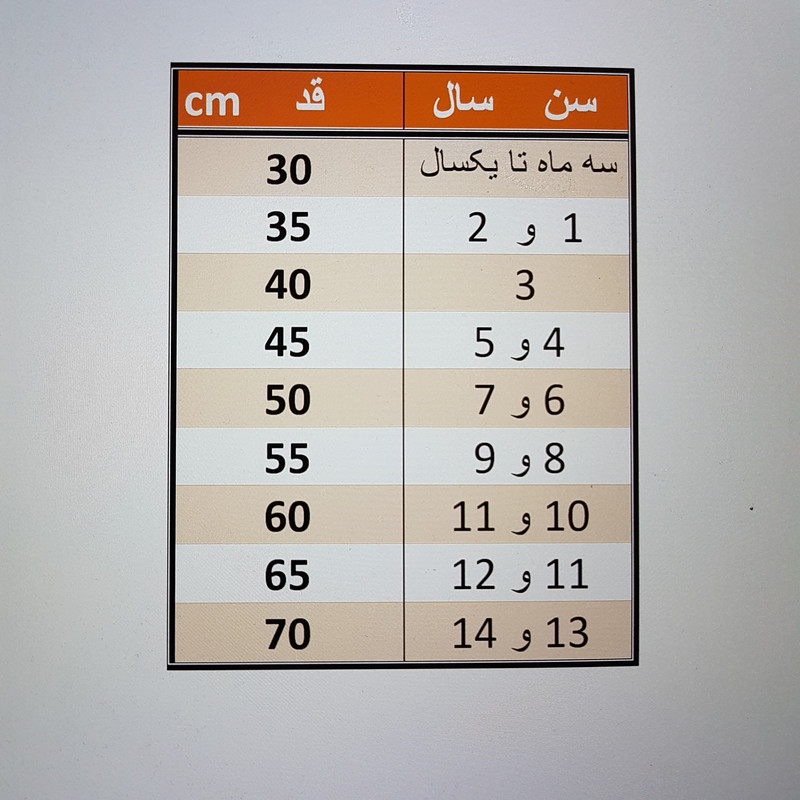 پلیور پسرانه مدل ASH220