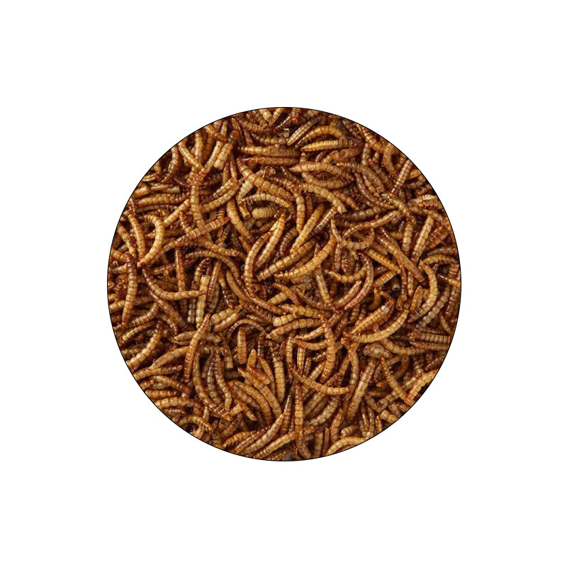 تشویقی پرندگان شهرپت مدل Premium Mealworm وزن 150 گرم