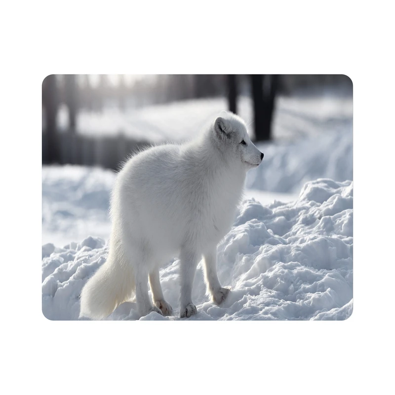 ماوس پد اطلس آبی طرح روباه در برف مدل T7643