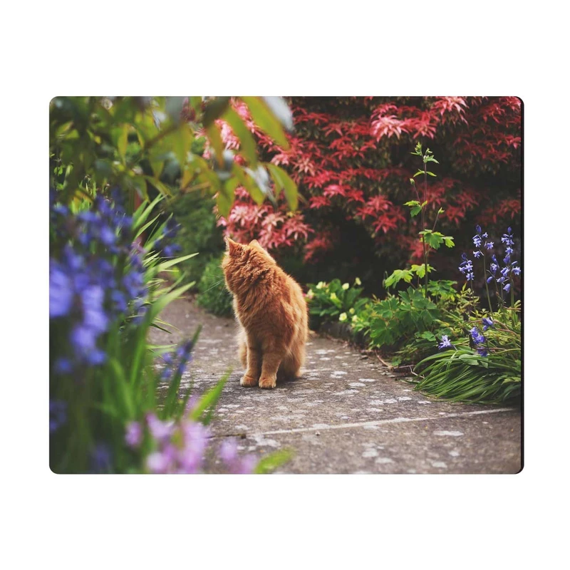 ماوس پد الینور مدل MPE300