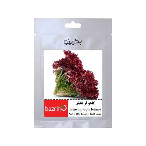 بذر کاهو فر بنفش بذرینو کد BZNO-223