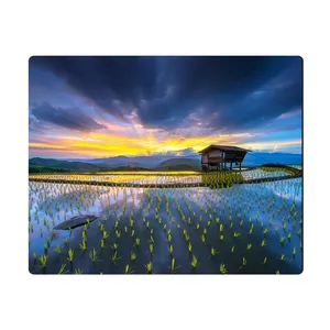 Elinor MPE298 Mousepad