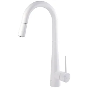 Kasra whit atoosa pull out kitchen mixer