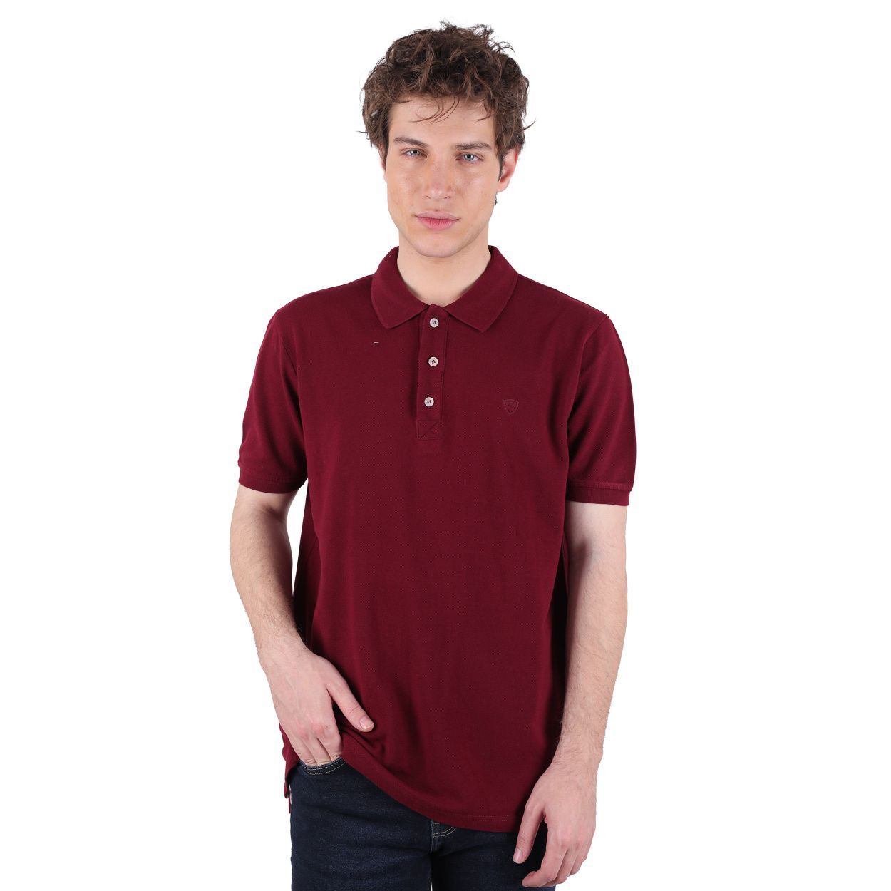 پولوشرت آستین کوتاه مردانه پاتن جامه مدل جودون کد M5155 -  - 3