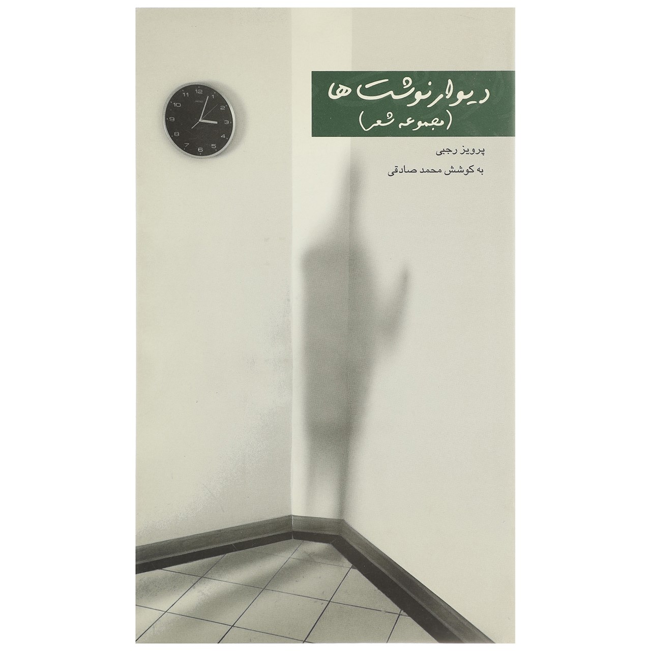 کتاب دیوار نوشت ها اثر پرویز رجبی