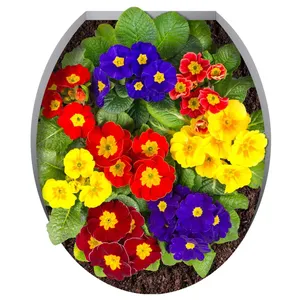Zhivar Color Full Flowers Sticker