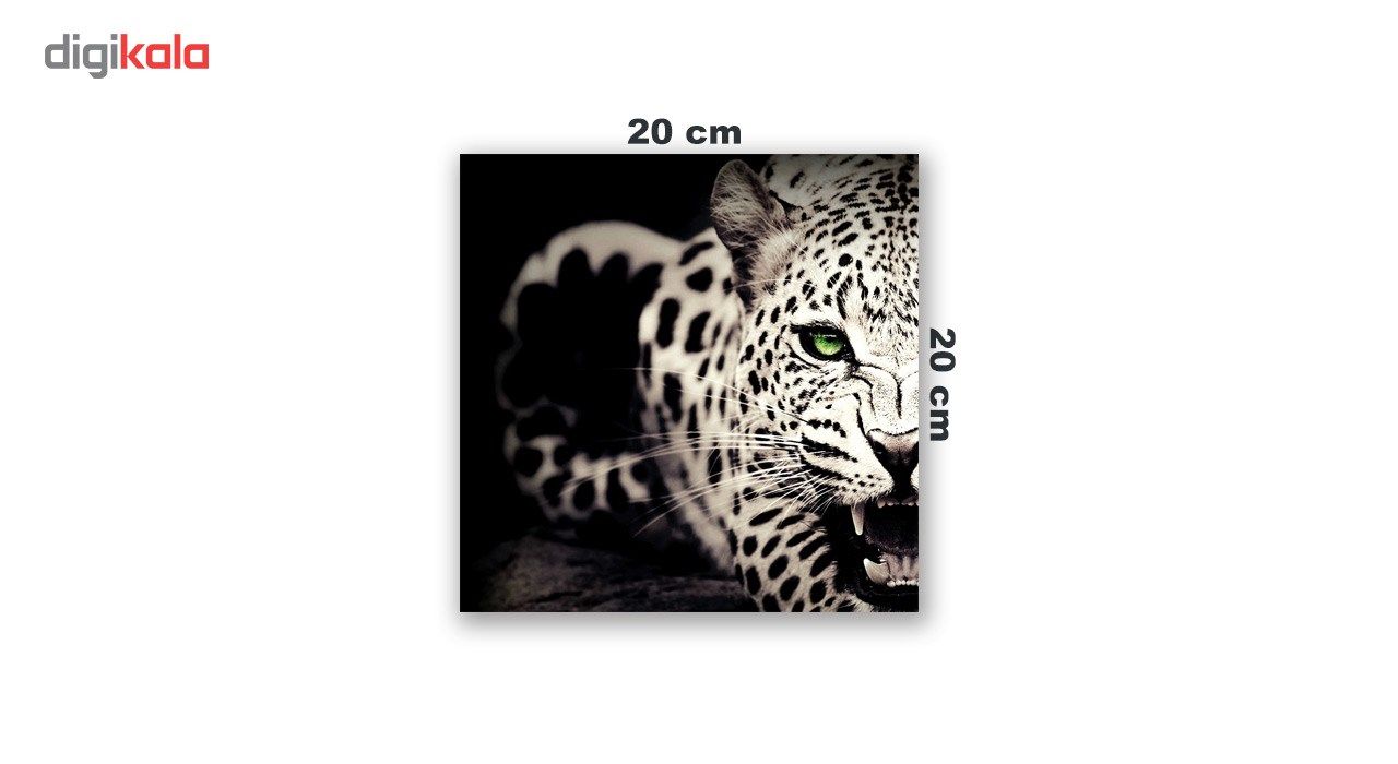 تابلو شاسی گراسیپا مدل DC-62 سایز 20X20 سانتی متر main 1 3