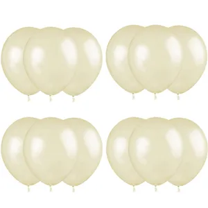 Party Helium Quality Balloons Pack of 12
