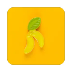 زیر لیوانی کاکتی طرح میوه مدل mp21409