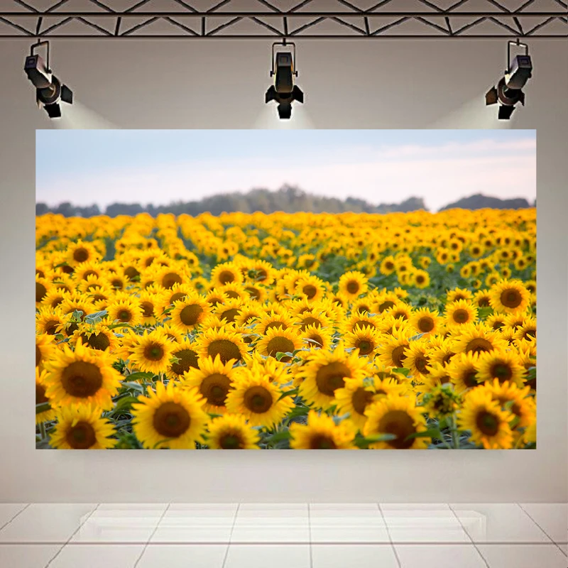 پوستر پارچه ای طرح مخمل مزرعه مدل گل های آفتابگردان کد PD130610