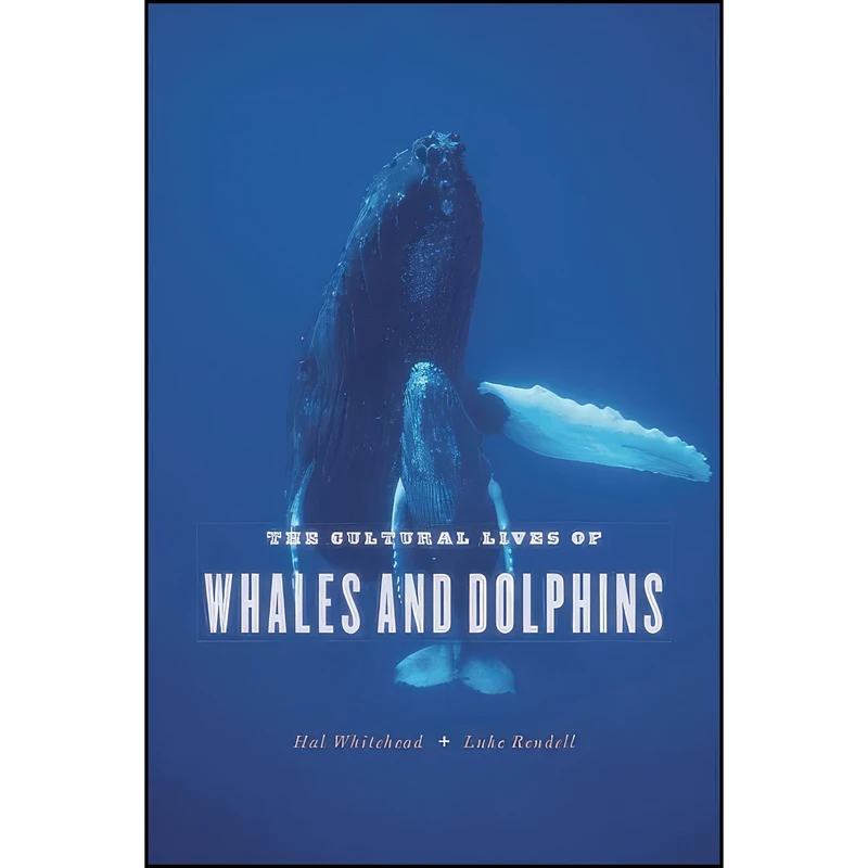 کتاب The Cultural Lives of Whales and Dolphins اثر Hal Whitehead and Luke Rendell انتشارات University of Chicago Press