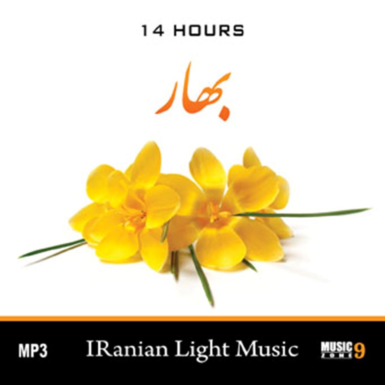 آلبوم موسیقی ایرانی بهار نشر فرهنگ