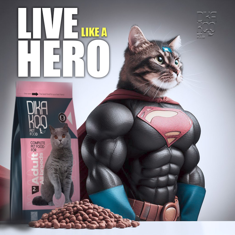 غذای خشک گربه دیکاکو مدل ADULT وزن 2 کیلوگرم