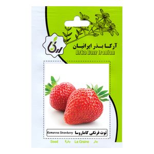 نقد و بررسی بذر توت فرنگی کاماروسا آرکا بذر ایرانیان کد ARK-143 توسط خریداران