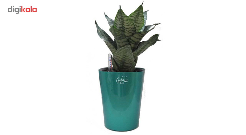 گلدان خودآبرسان گلوین مدل CS1