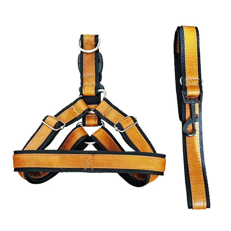 قلاده کتفی و بند قلاده سگ مدل چرمی کد 8 سایز M