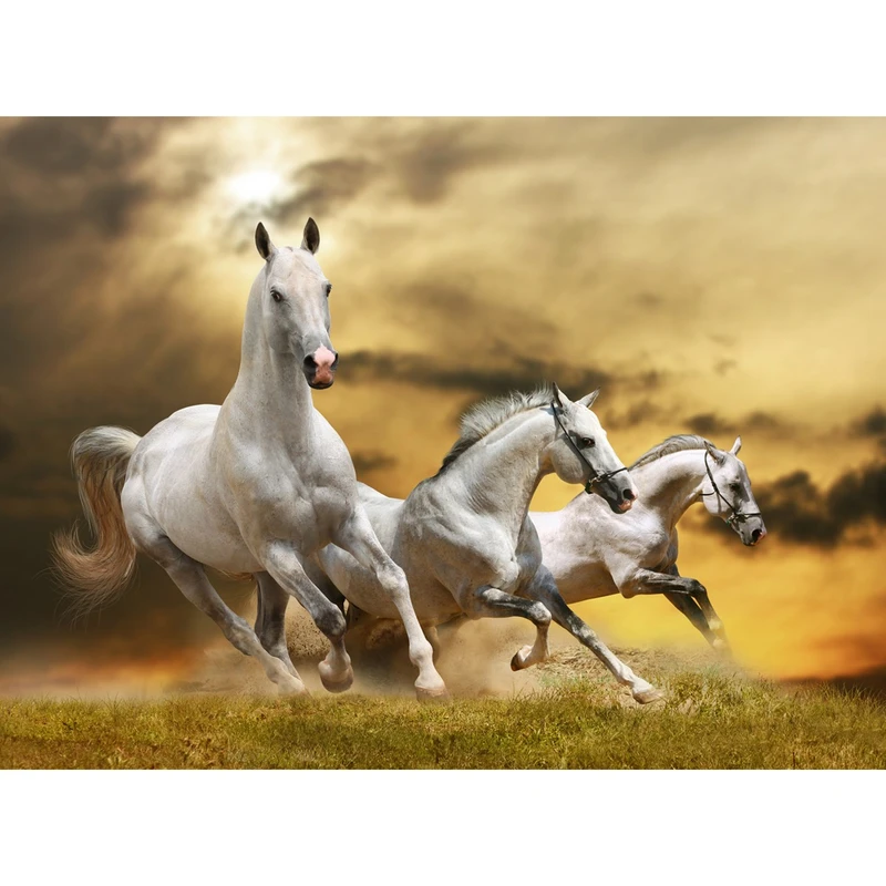 تابلو شاسی آکو طرح f 78 سایز 20x28 سانتی متر