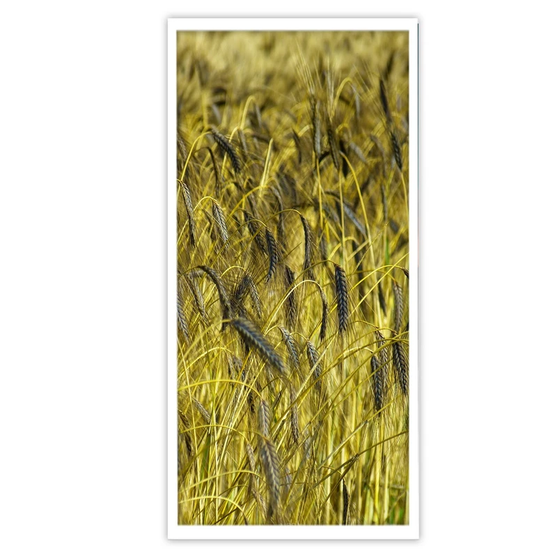 تابلو بکلیت طرح گندمزار مدل W-S3815