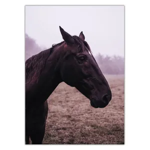 Wensoni Nice Brown Horse Chassis 40 x 30