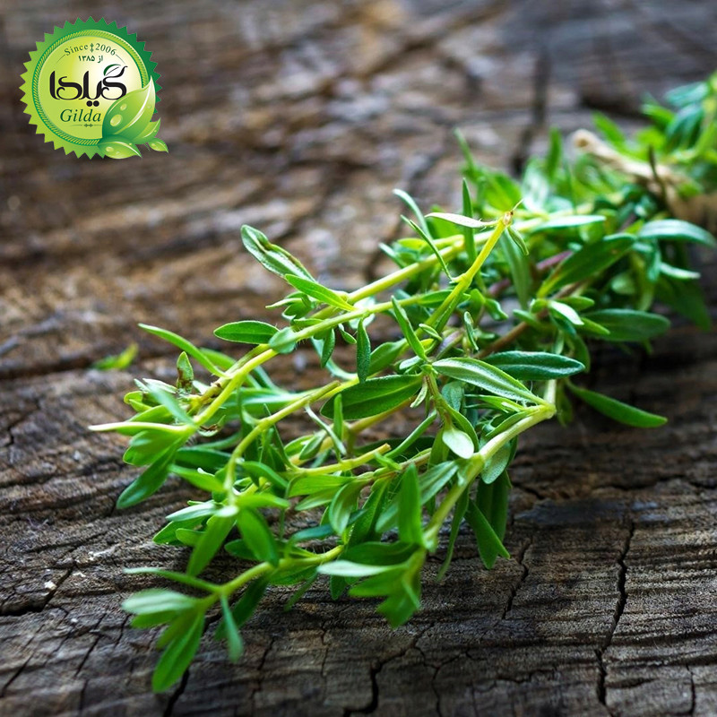 بذر مرزه گیلدا کد 120