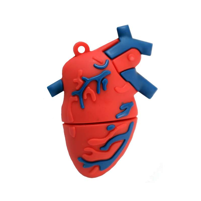 فلش مموری طرح Human Heart مدل DPL1220 ظرفیت 32 گیگابایت