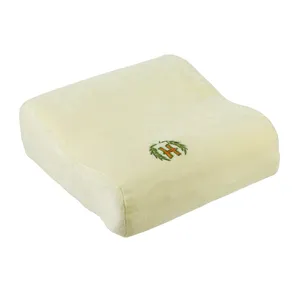 Hooshmand Travel Medical Pillow
