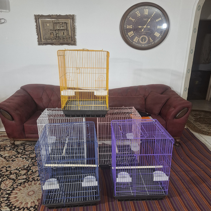 قفس عروس هلندی مدل سقف باز شو 1033