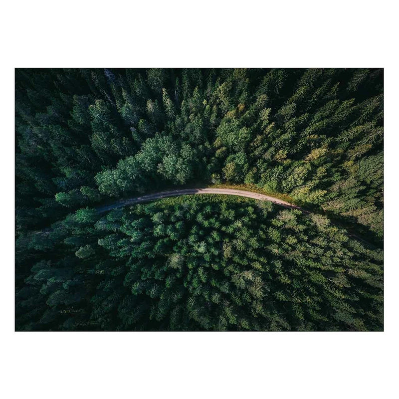 تابلو شاسی ونسونی طرح Jungle Road سایز 50x70 سانتی متر