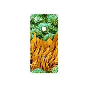 MAHOOT Atom Universe 6 Cover Sticker for Google Pixel 3