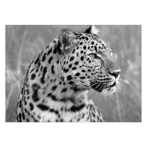 Wensoni Tiger Hesitation Chassis Size 50 x 70 Cm