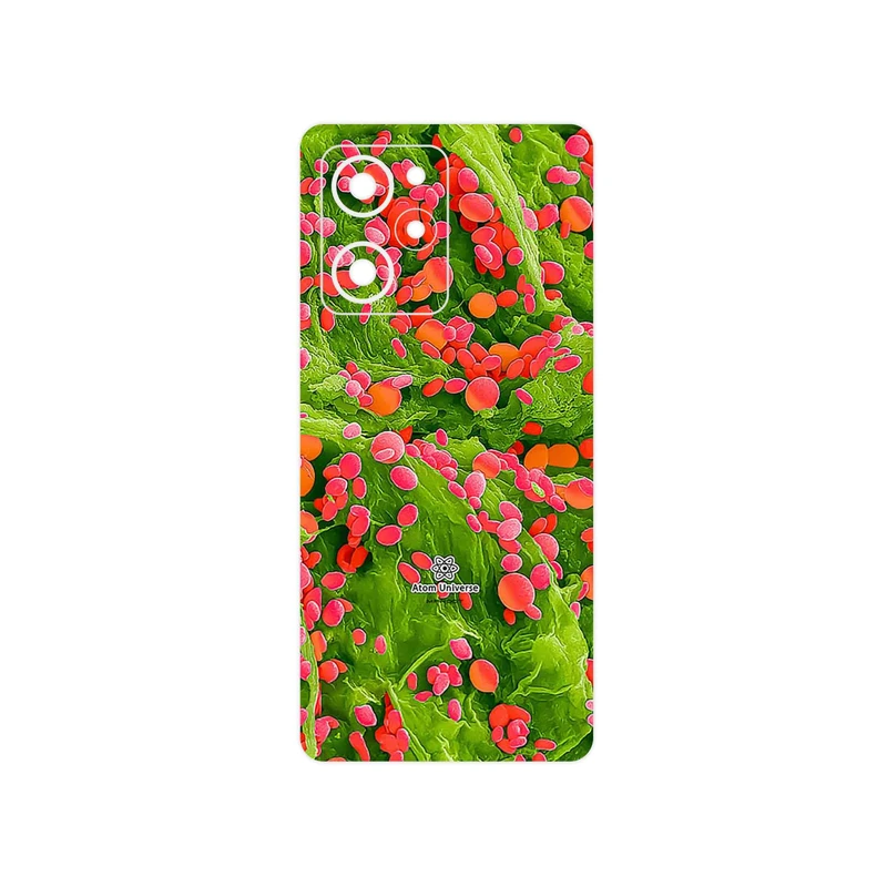 برچسب پوششی ماهوت مدل Atom Universe 3 مناسب برای گوشی موبایل شیائومی Poco X5 Pro