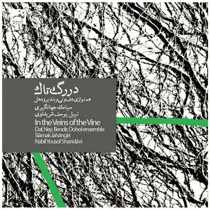 آلبوم موسیقی در رگ تاک اثر سیامک جهانگیری