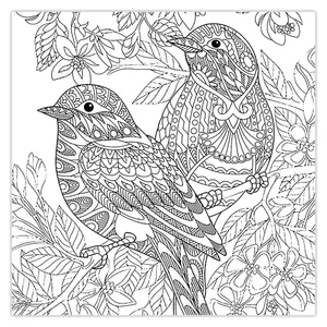 ZeeZip 941P20 Coloring Chassis Size 20x20 Cm