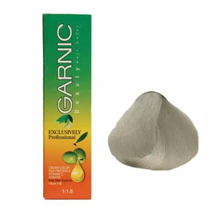 کیت رنگ موی گارنیک سری خاکستری - بلوند نقره ای روشن شماره 91/2.1