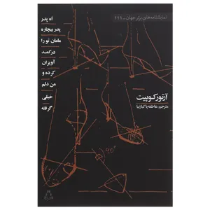 کتاب اه پدر بیچاره مامان تو را در کمد آویزان کرده و من دلم خیلی گرفته اثر آرتور کوپیت