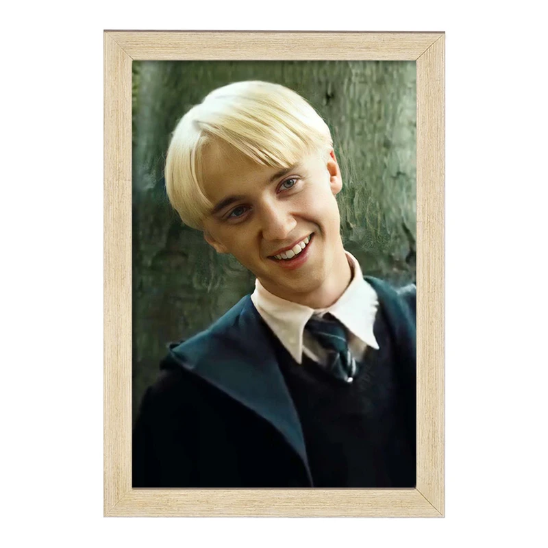 تابلو خندالو مدل دراکو مالفوی هری پاتر Harry Potter  کد 19361