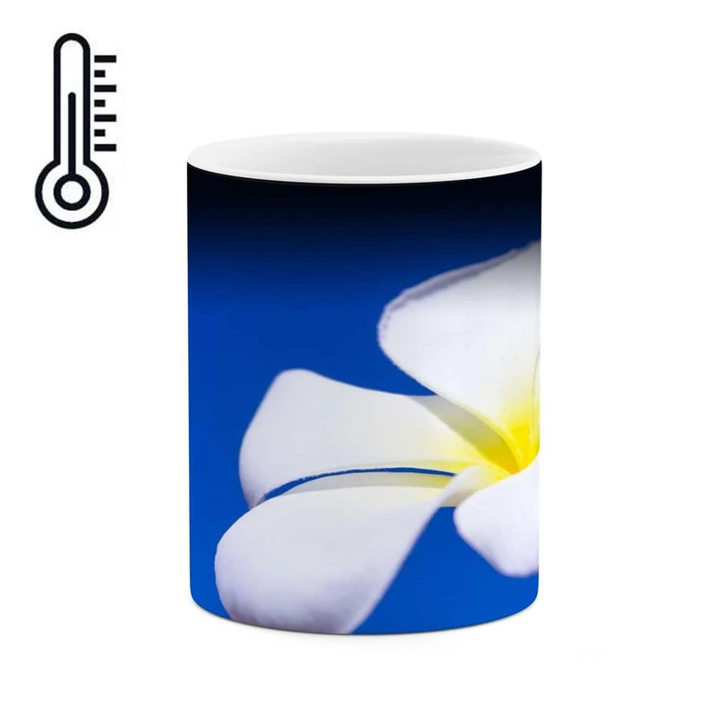 ماگ حرارتی کاکتی مدل گل کد mgh14326