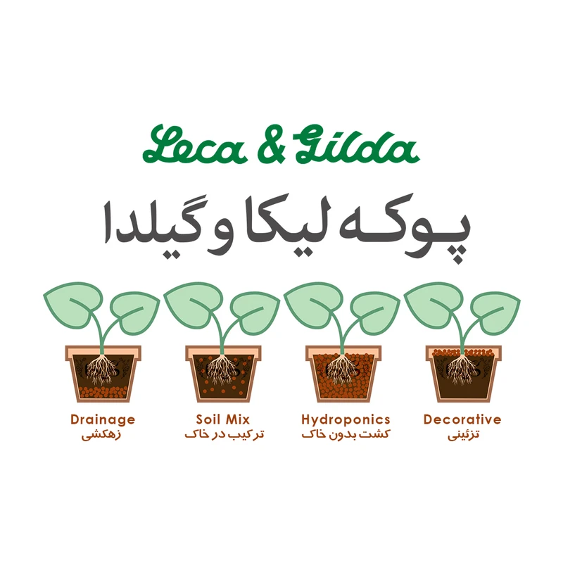 عکس شماره 3