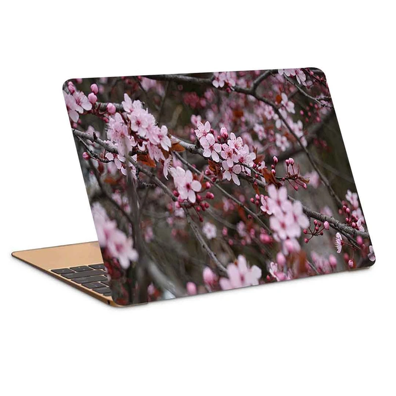 استیکر لپ تاپ طرح sakura flowers pink کد P-952 مناسب برای لپ تاپ 15.6 اینچ