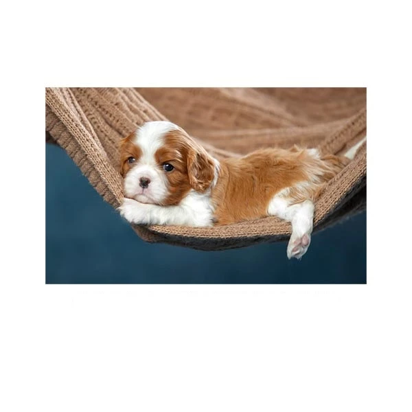   پادری مدل حیوانات کد HSHMA0059 سایز 76x46 سانتی متر