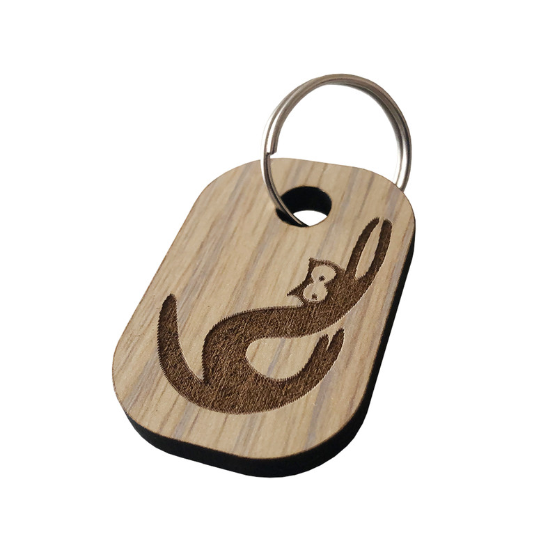 جا کلیدی مدل fj21