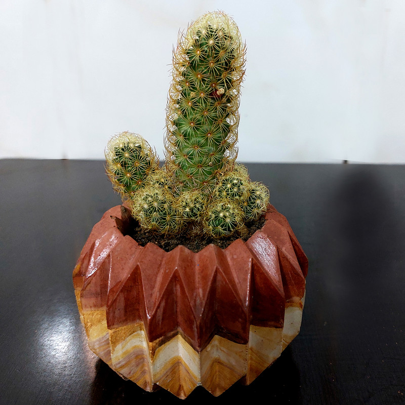 گلدان مدل سنگی