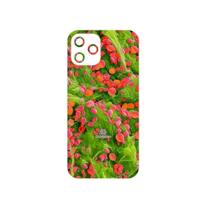 MAHOOT Atom Universe 3 Cover Sticker for Apple iPhone 12 Pro